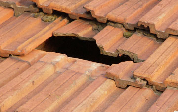 roof repair Ardnagoine, Highland