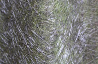 Ardnagoine fibreglass roof work